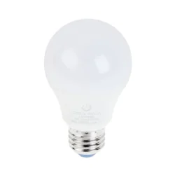 9.5a19dim 850 store photo.jpg